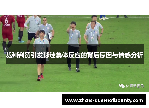 裁判判罚引发球迷集体反应的背后原因与情感分析