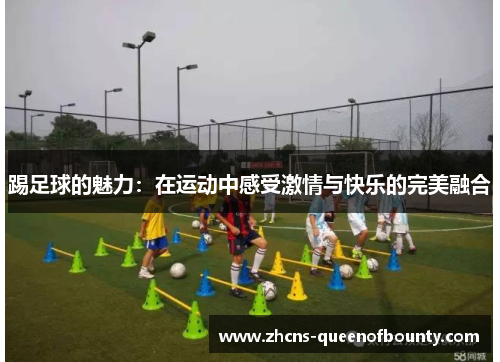 踢足球的魅力：在运动中感受激情与快乐的完美融合