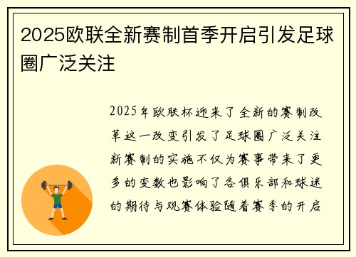 2025欧联全新赛制首季开启引发足球圈广泛关注